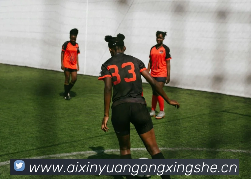 多媒体互动体验