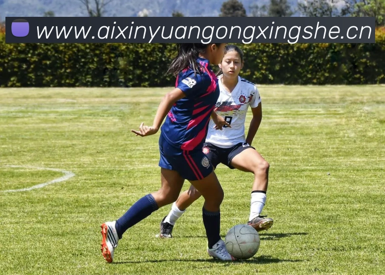 华体会体育官网app赛事直播解说员APP 高清赛事图